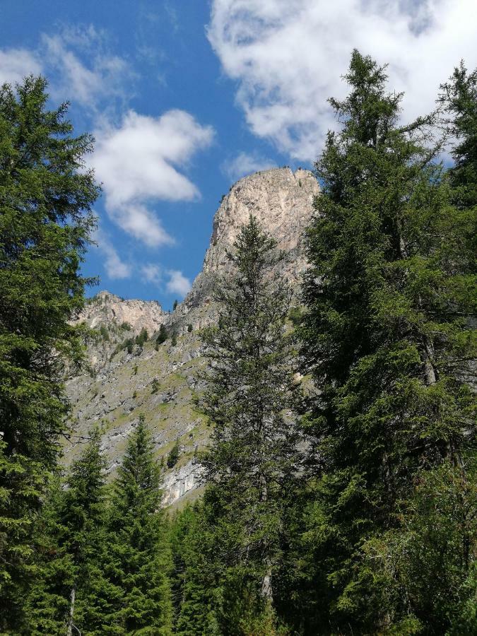 Hotel Alaska Selva di Val Gardena Luaran gambar